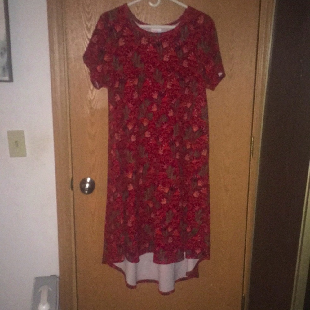 Multicolor. LuLaroe maxi dress. Size medium.